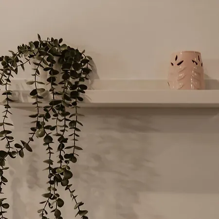 Sol & Centro * Málaga