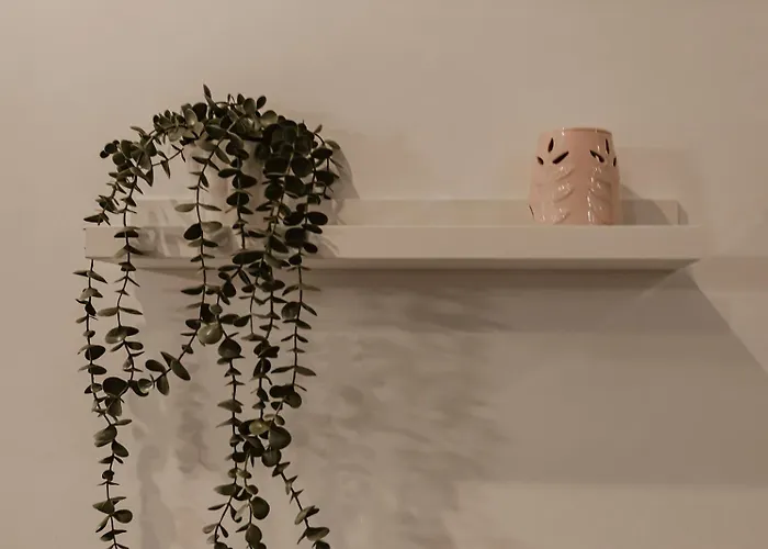 Sol & Centro * Málaga